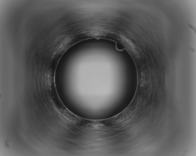 X0000097600210200802291251