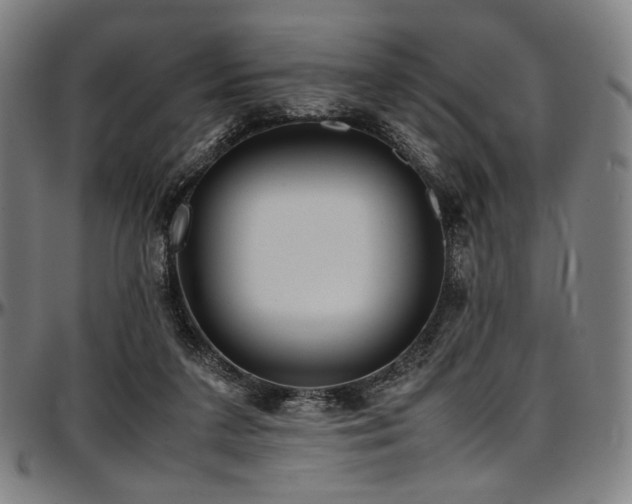 X0000097600211200802291251