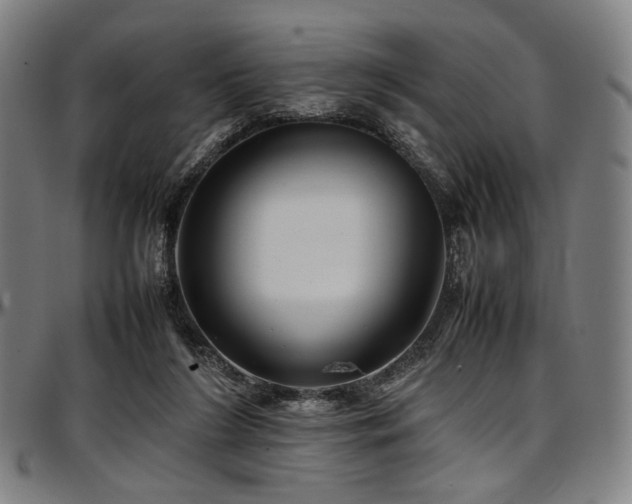 X0000097600212200802291251