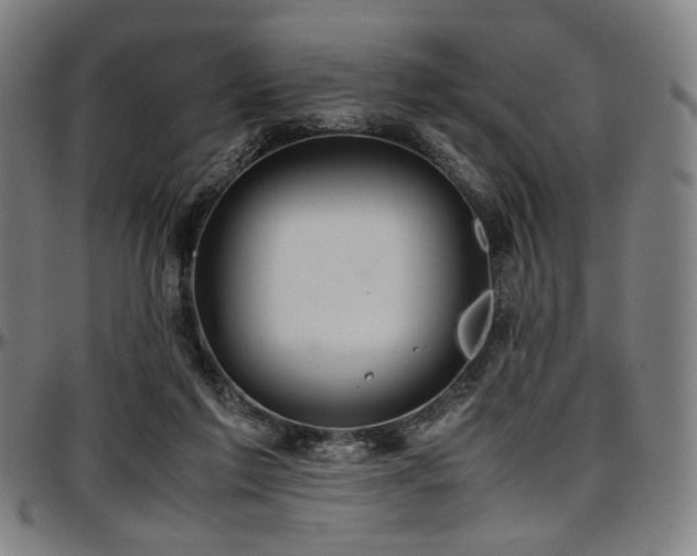 X0000097600213200802291251