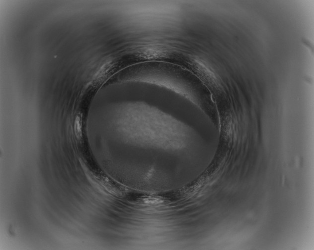 X0000097600214200802291251