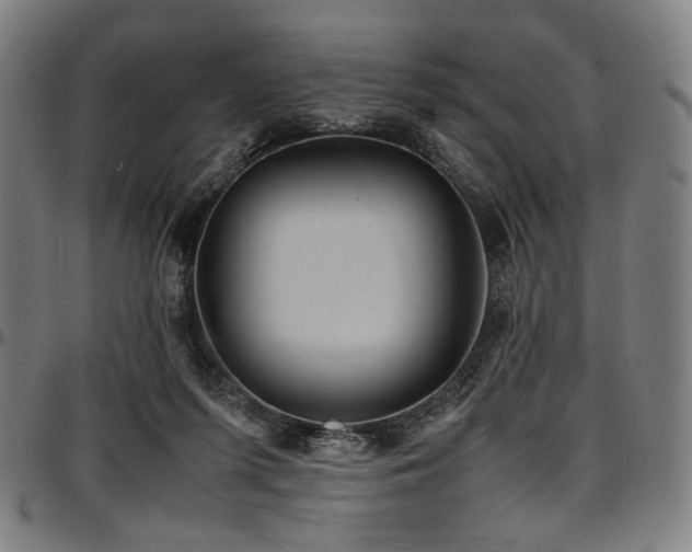 X0000097600215200802291251