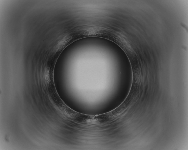 X0000097600216200802291251