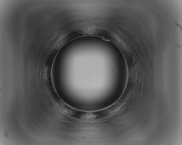 X0000097600217200802291251