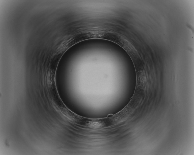 X0000097600218200802291251