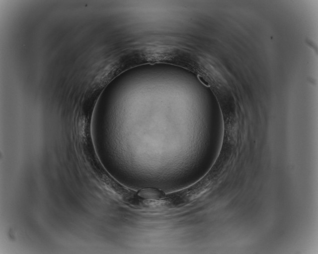 X0000097600219200802291251