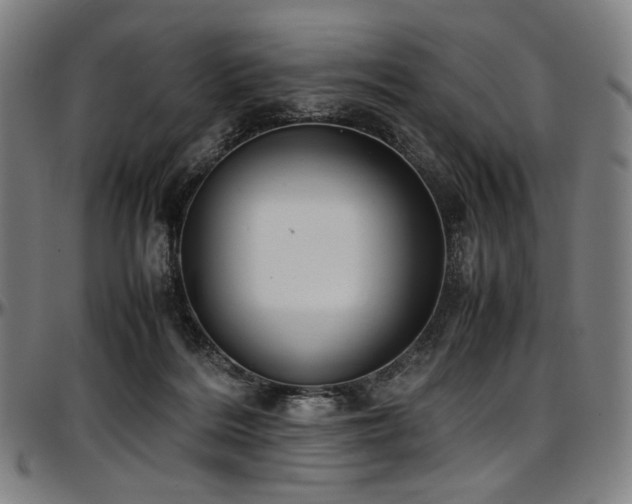 X0000097600220200802291251
