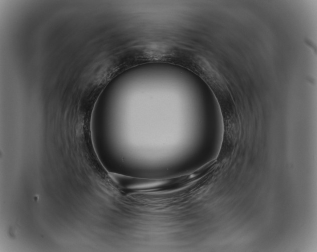 X0000097600221200802291251