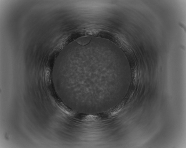 X0000097600222200802291251