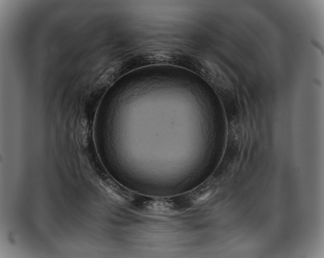 X0000097600223200802291251