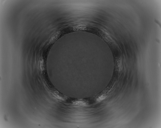 X0000097600224200802291251