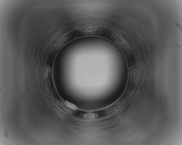 X0000097600225200802291251