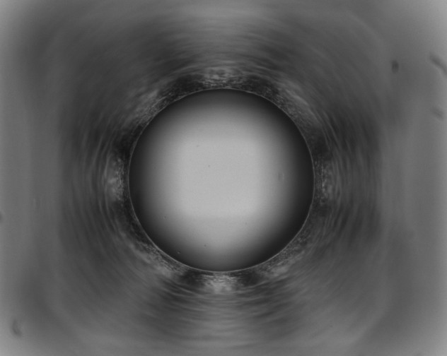 X0000097600226200802291251