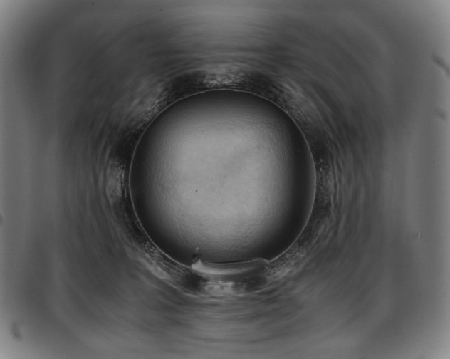 X0000097600227200802291251