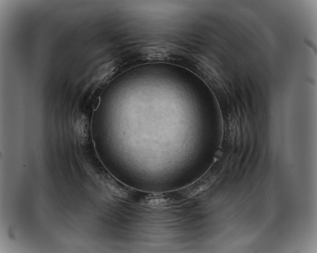 X0000097600228200802291251