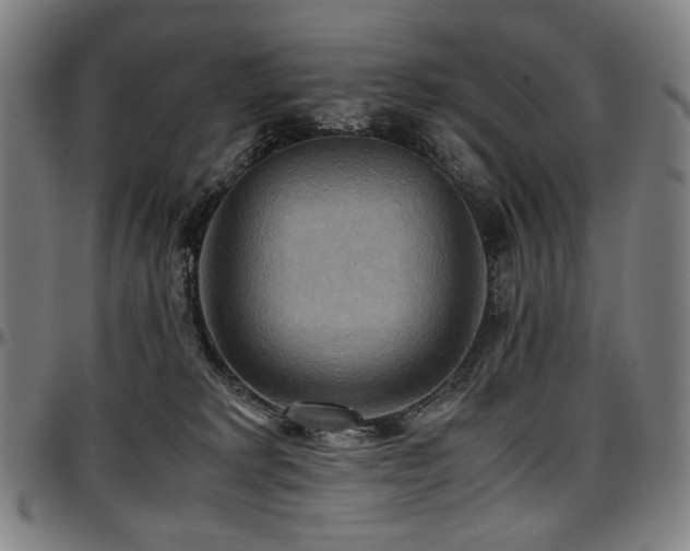 X0000097600229200802291251
