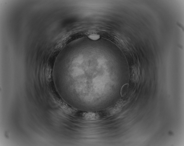 X0000097600230200802291251