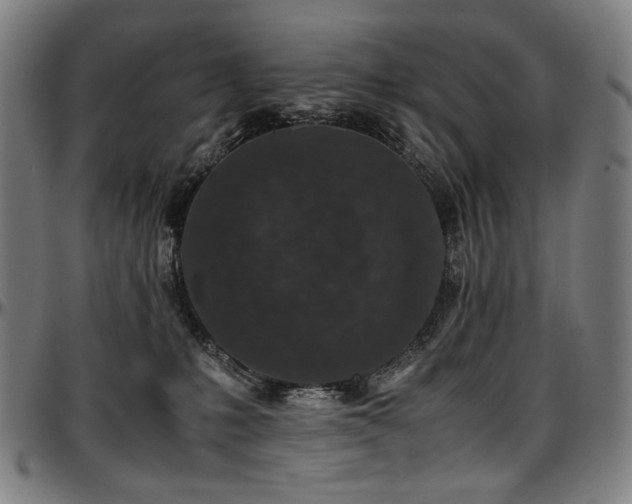 X0000097600231200802291251