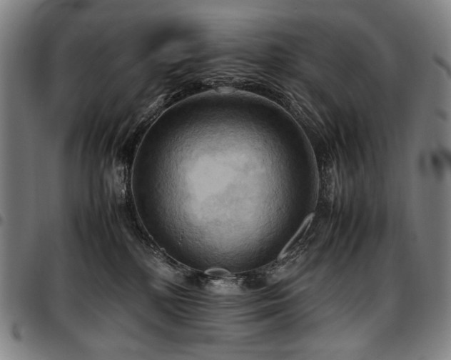 X0000097600232200802291251
