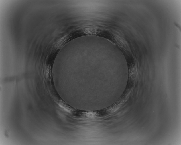 X0000097600233200802291251