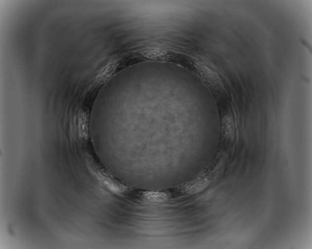 X0000097600234200802291251