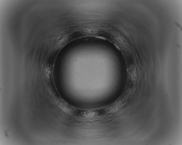 X0000097600235200802291251