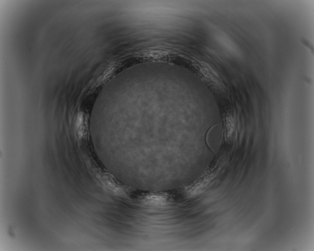 X0000097600236200802291251