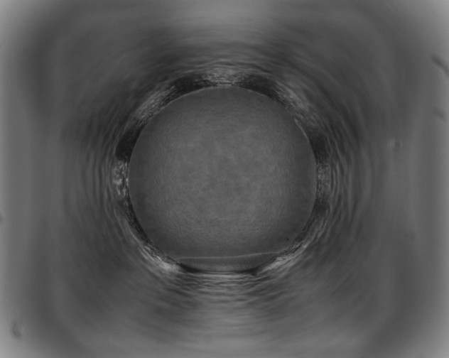 X0000097600237200802291251