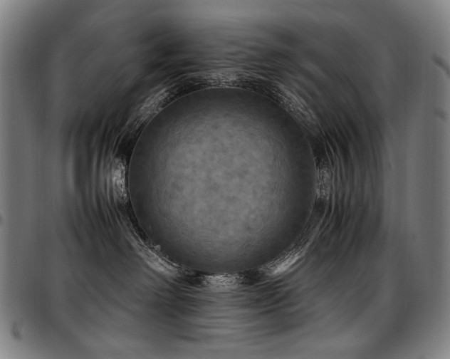 X0000097600238200802291251