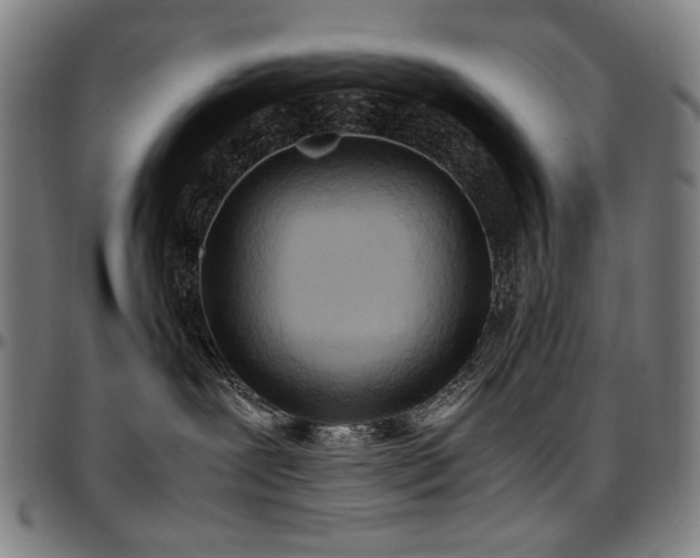 X0000097600239200802291251
