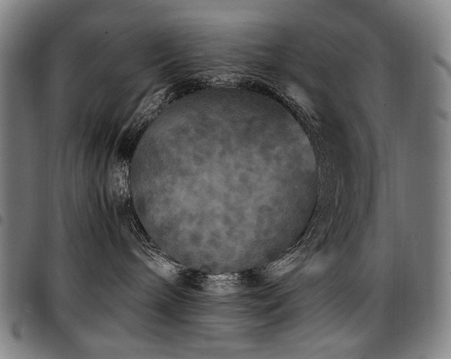 X0000097600240200802291251
