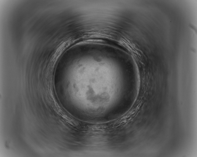 X0000097600241200802291250
