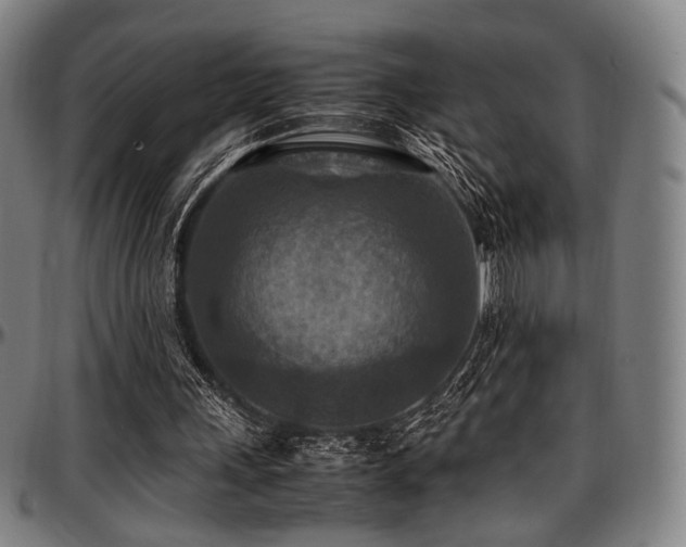 X0000097600243200802291250