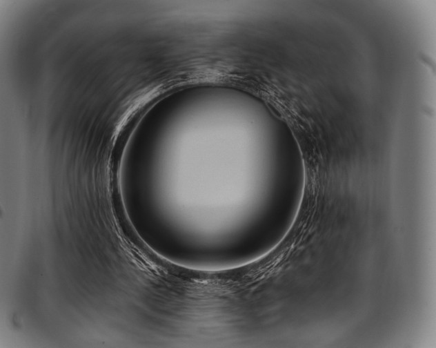 X0000097600244200802291250