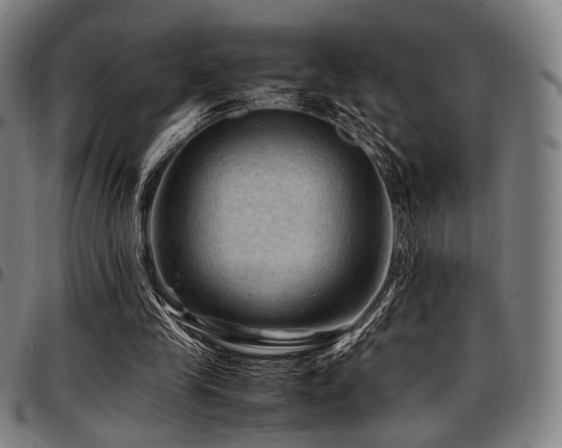 X0000097600245200802291250