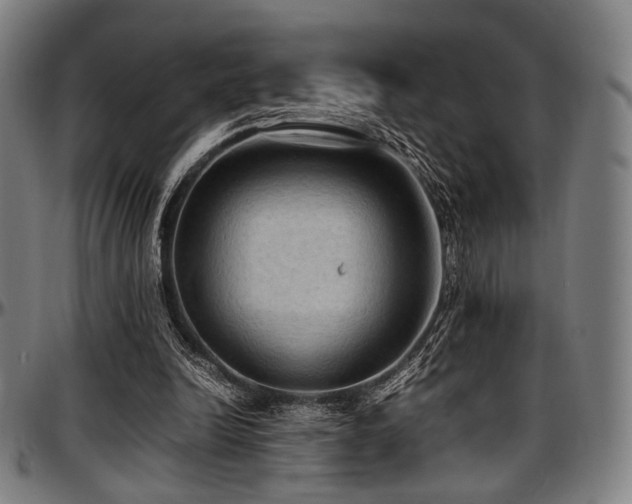 X0000097600246200802291250