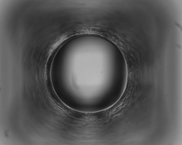 X0000097600248200802291250