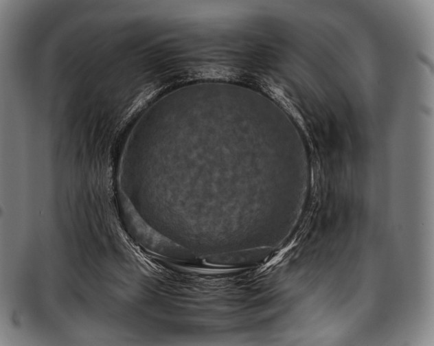 X0000097600249200802291250