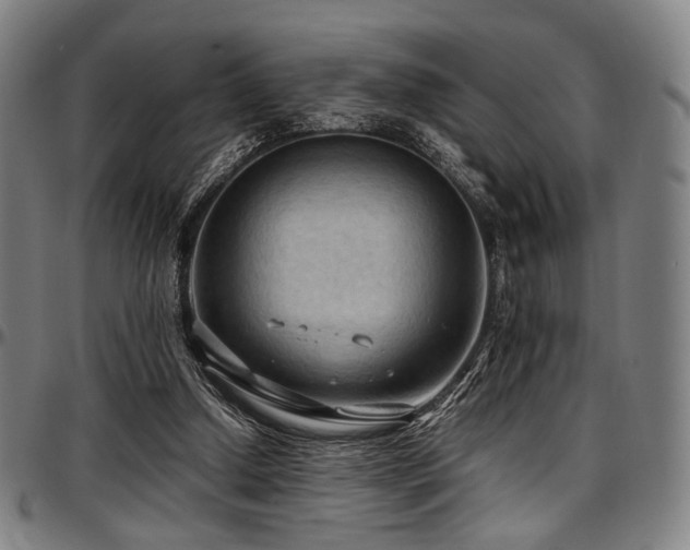 X0000097600250200802291250