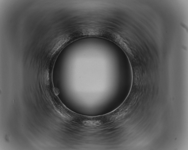 X0000097600251200802291250
