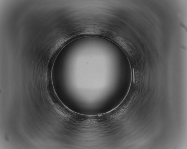 X0000097600252200802291250
