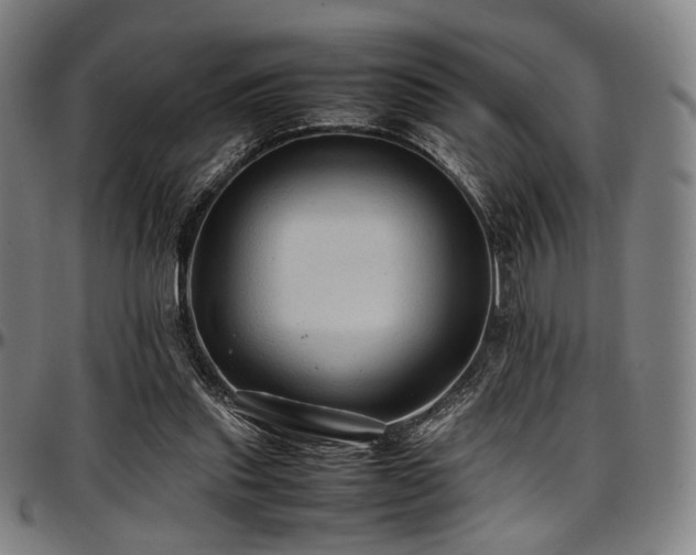 X0000097600253200802291250