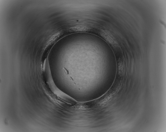 X0000097600254200802291250