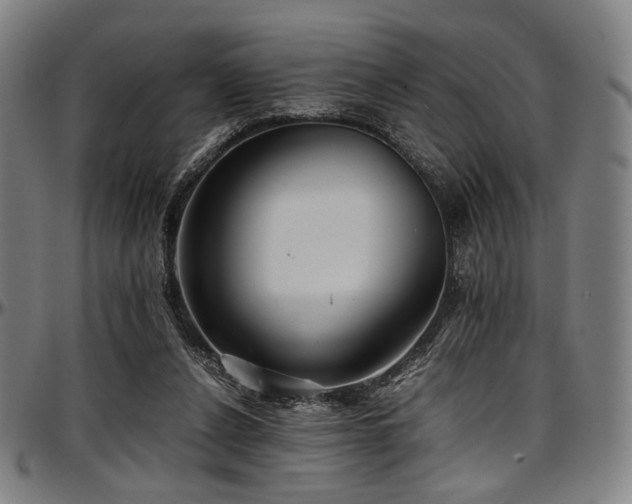 X0000097600256200802291250