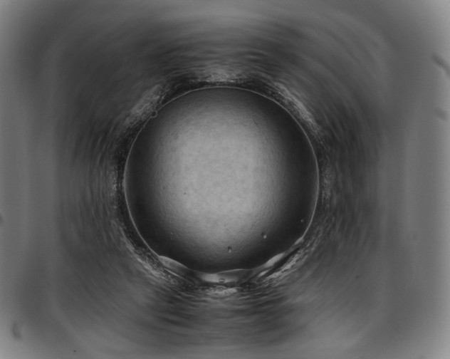 X0000097600257200802291250