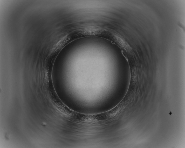 X0000097600258200802291250