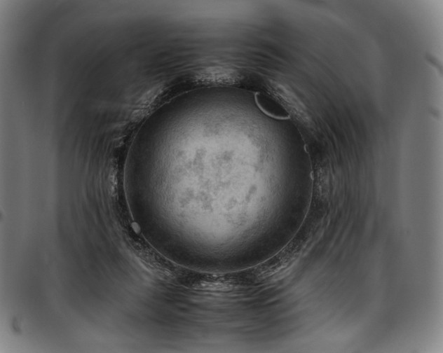 X0000097600259200802291250