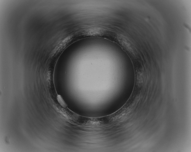 X0000097600260200802291250