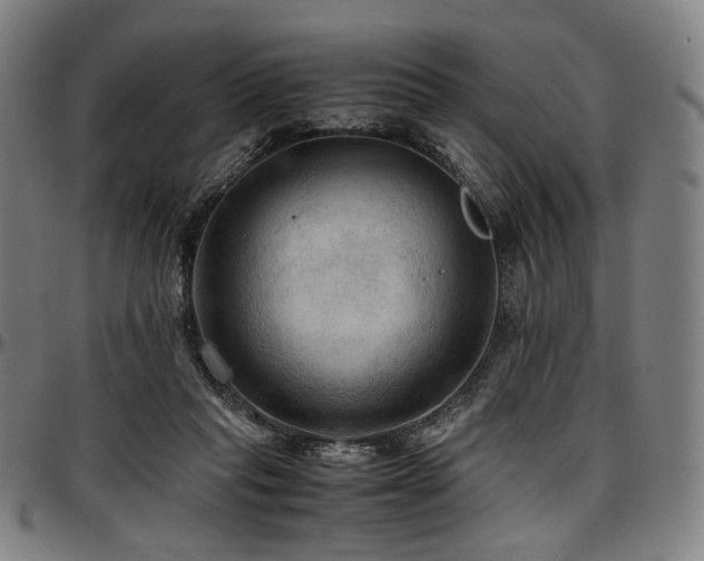 X0000097600261200802291250