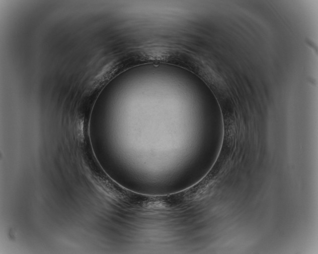 X0000097600262200802291250